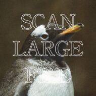 Scan Large / High Res File