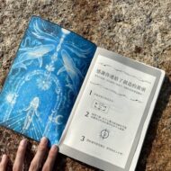 鯨魚之歌：創造日記